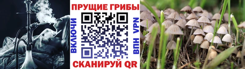 наркошоп  Горячеводский  Галлюциногенные грибы MAGIC MUSHROOMS 